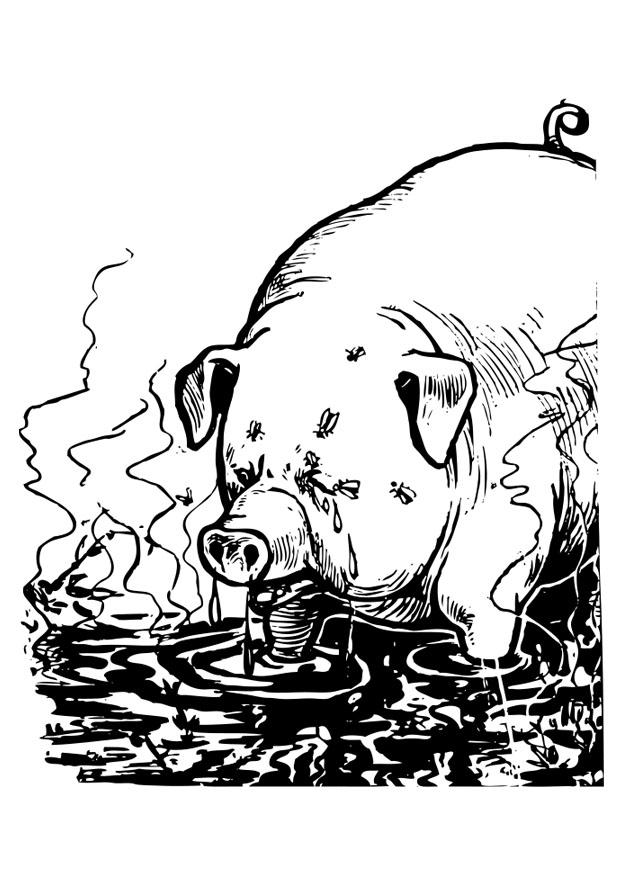 Malvorlage schwein
