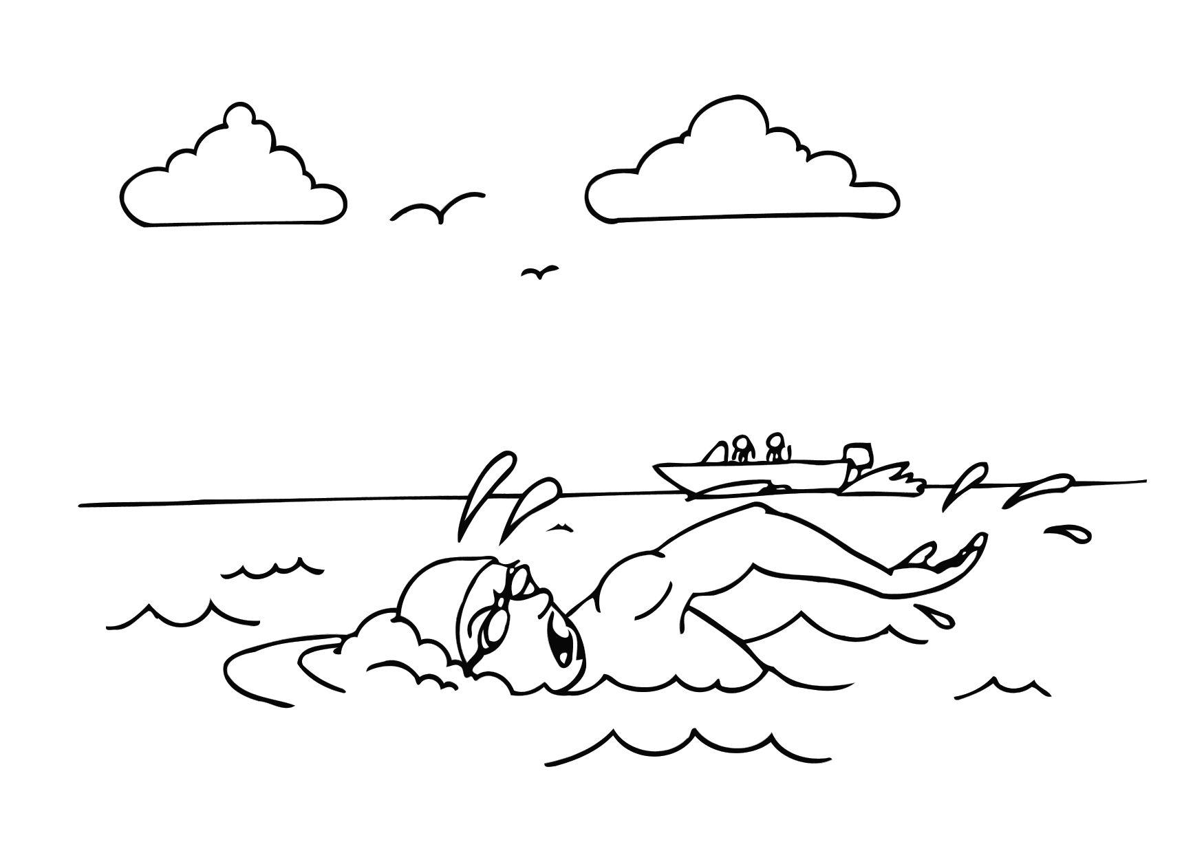 schwimmen Malvorlage schwimmen