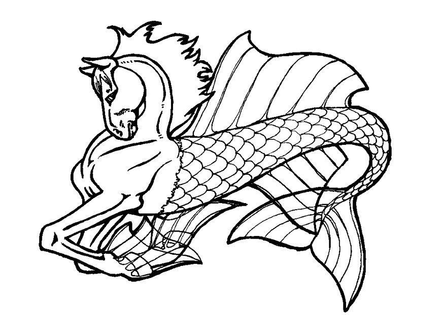 seepferd Malvorlage seepferd