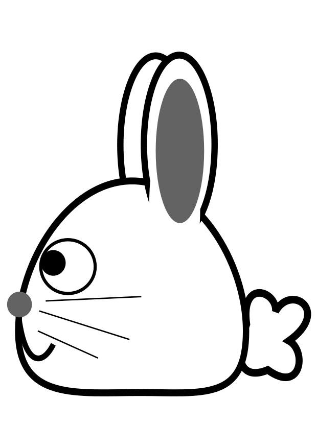 seitenansicht hase Malvorlage seitenansicht hase