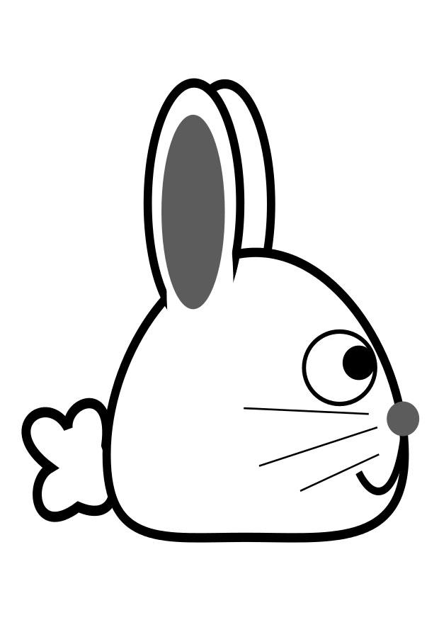 seitenansicht hase Malvorlage seitenansicht hase
