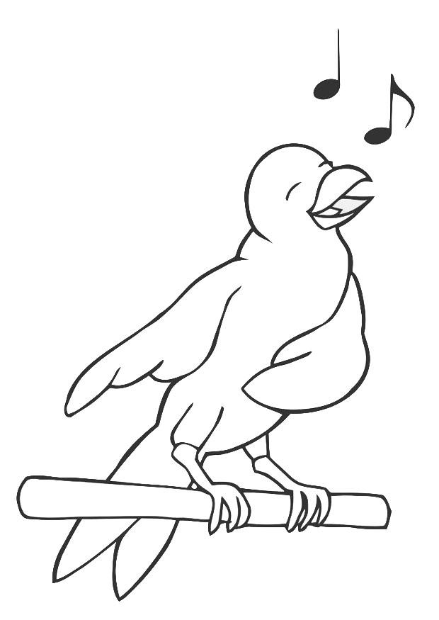 singender vogel Malvorlage singender vogel