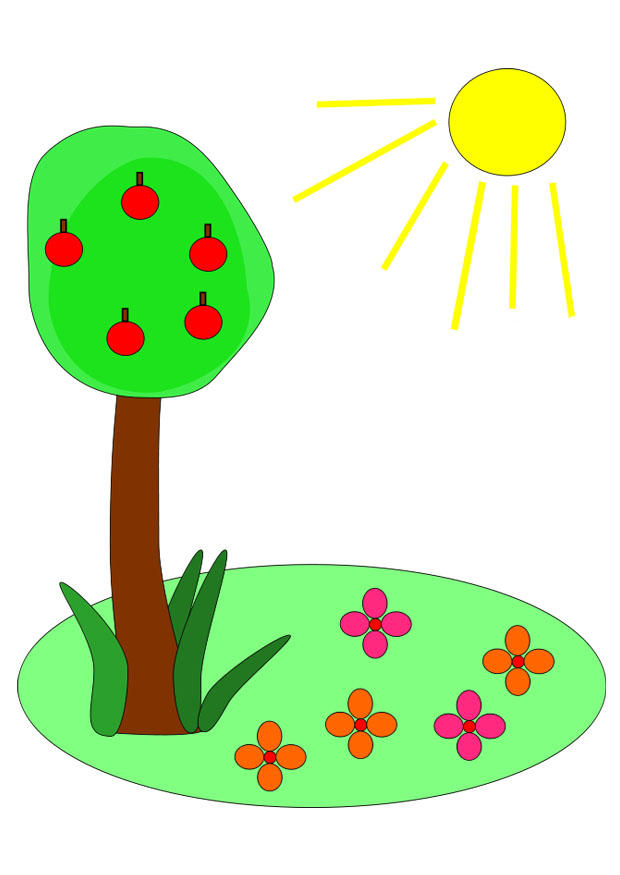 sommer Bild sommer