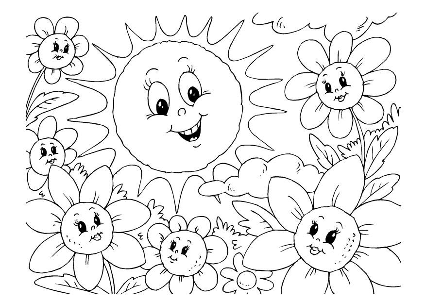 sommer Malvorlage sommer