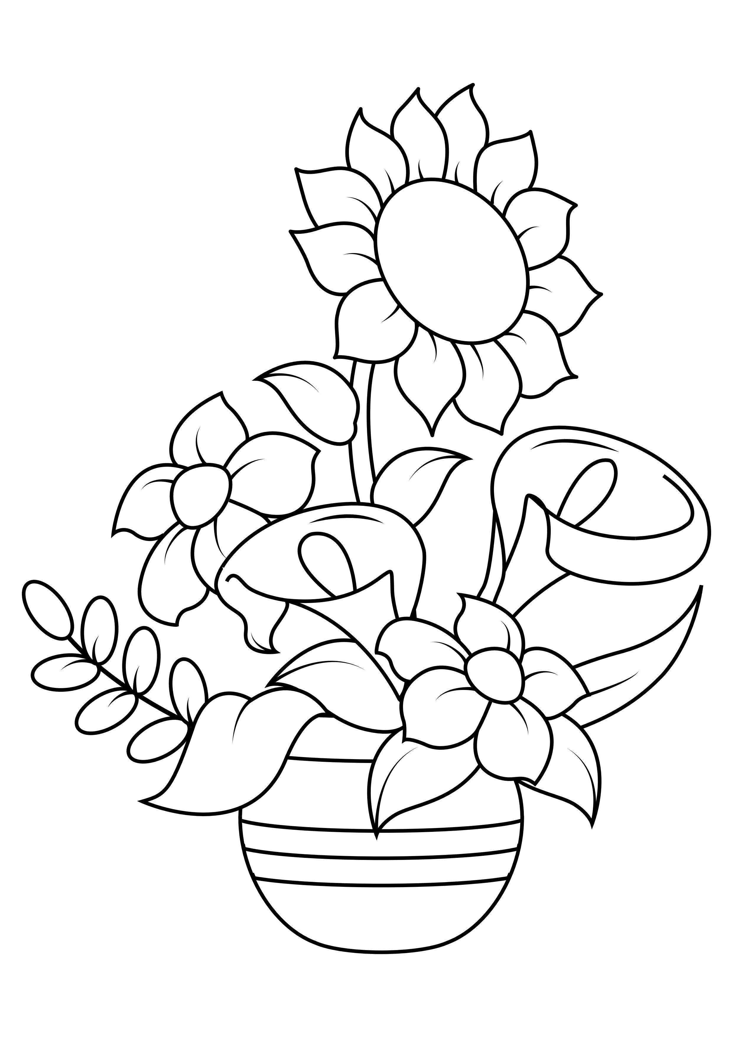 sonnenblume Malvorlage sonnenblume