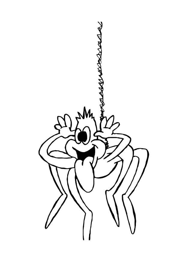 spinne Malvorlage spinne