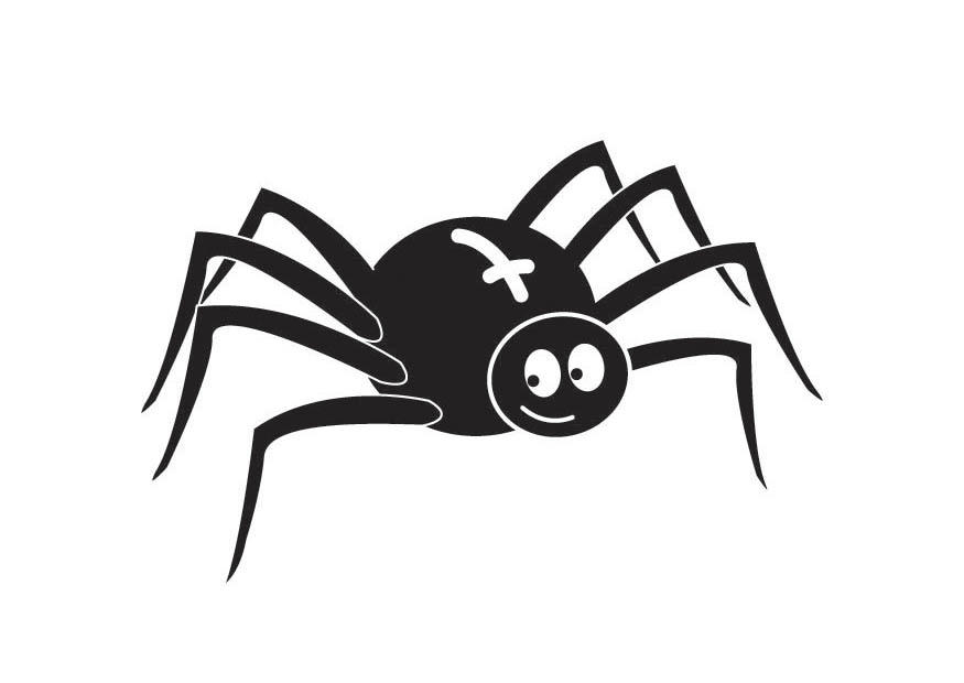 spinne Malvorlage spinne