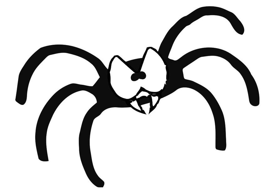 spinne Malvorlage spinne