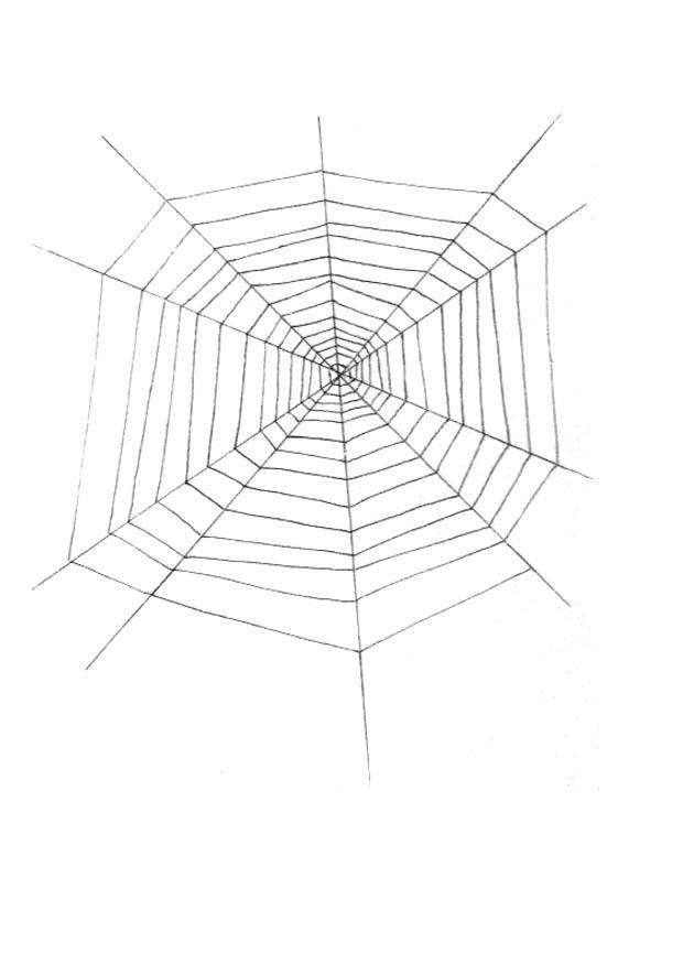 spinnennetz Malvorlage spinnennetz