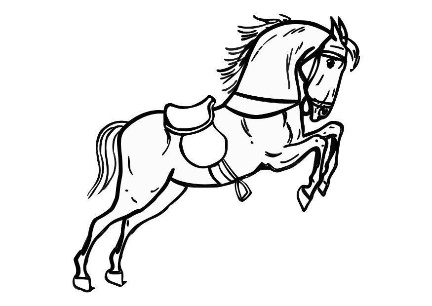 springendes pferd Malvorlage springendes pferd