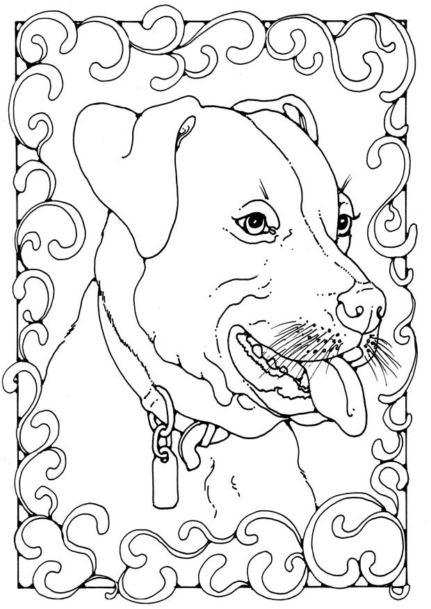 staffordshire bullterrier Malvorlage staffordshire bullterrier