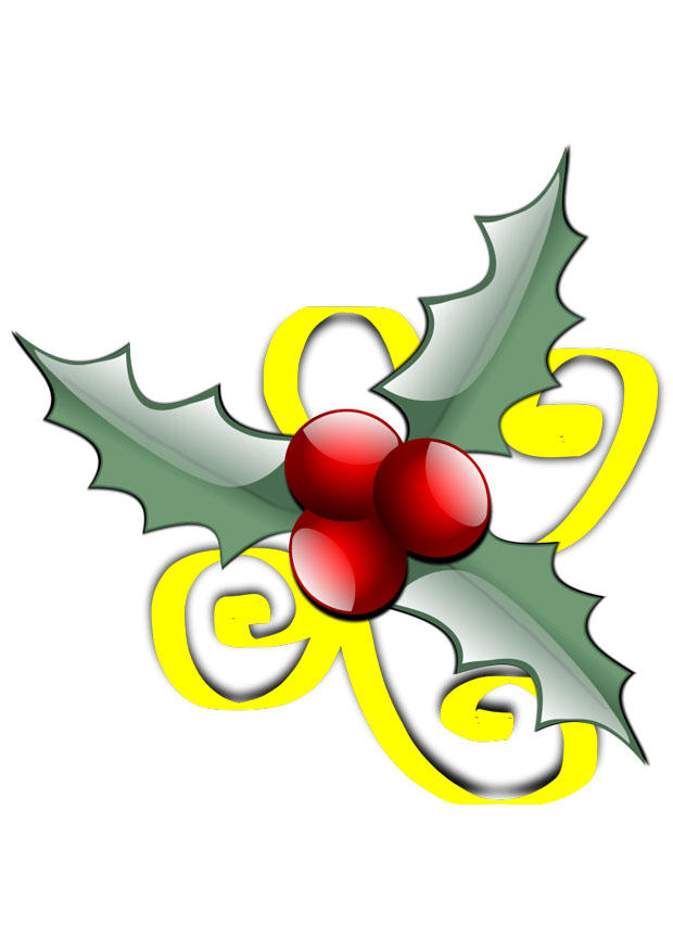 stechpalme Bild stechpalme