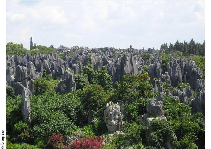 steinerner wald kunming Foto steinerner wald kunming