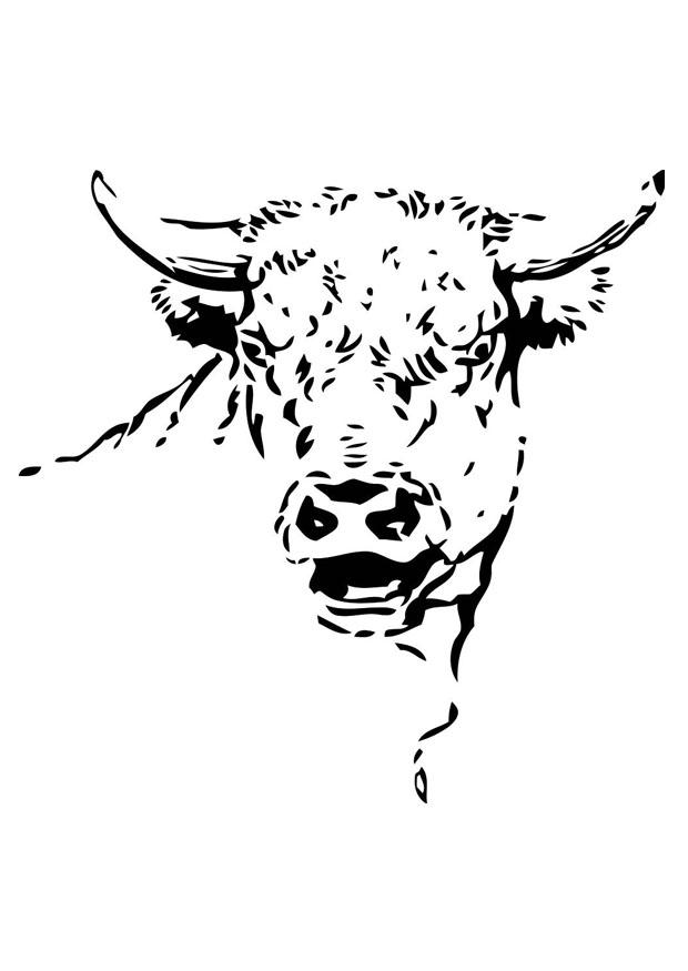 stier Malvorlage stier