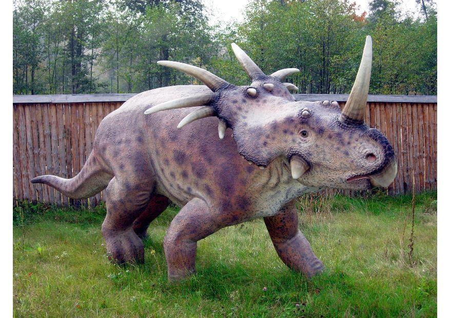styracosaurus kopie Foto styracosaurus kopie