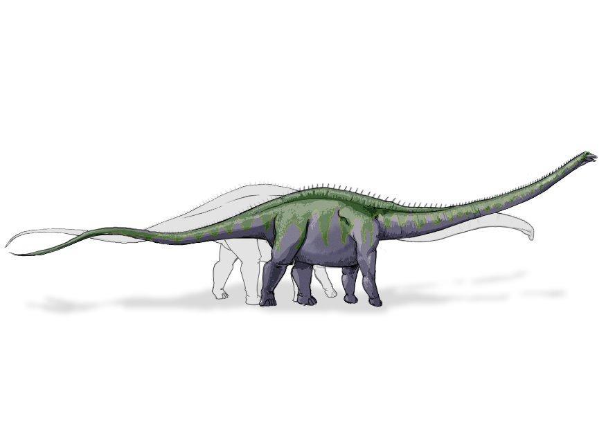 supersaurus dinosaurus Bild supersaurus dinosaurus