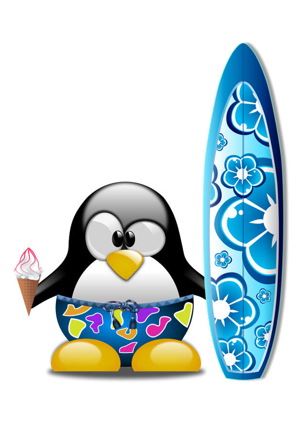 surfen Bild surfen