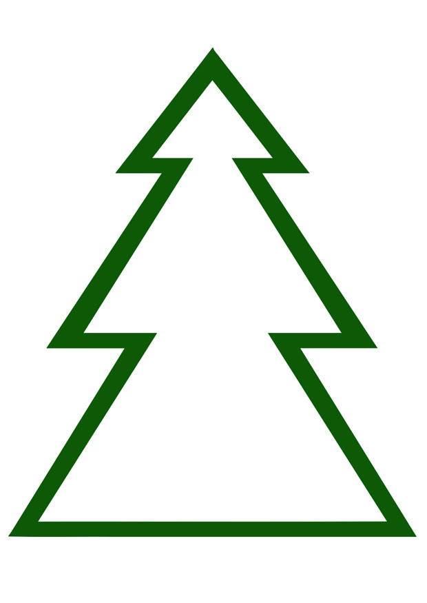 tannenbaum Bild tannenbaum