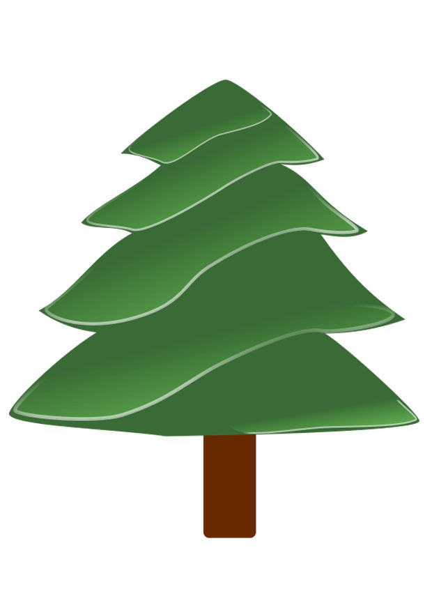 Bild tannenbaum