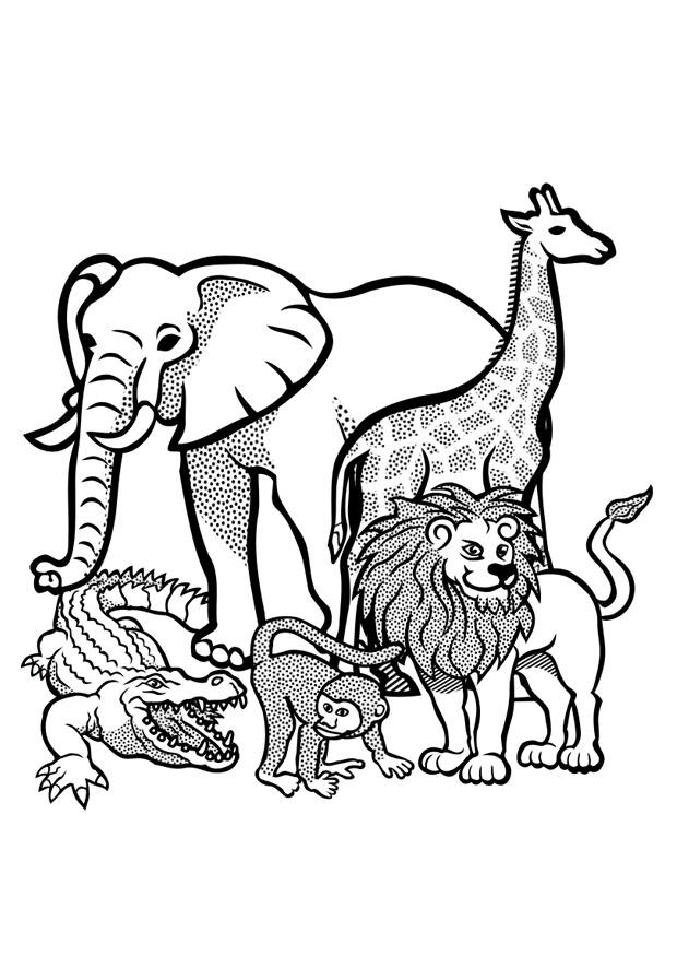 tiere in der wildnis Malvorlage tiere in der wildnis