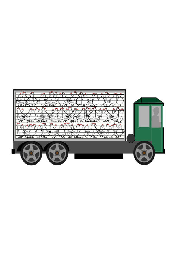 tiertransport Bild tiertransport