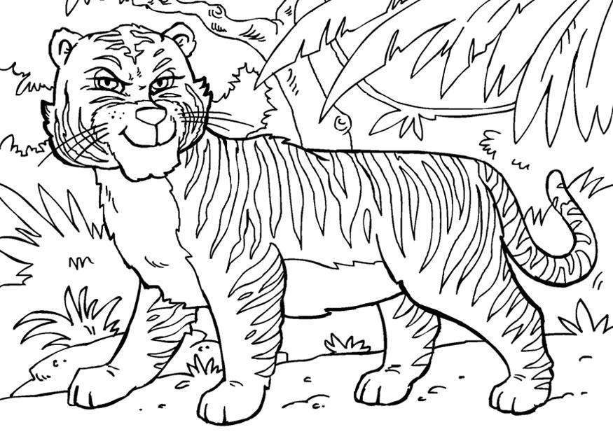 tiger Malvorlage tiger