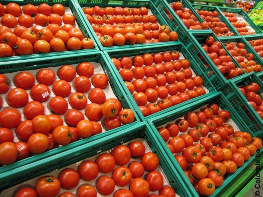 tomate Foto tomate
