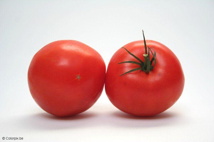 tomaten Foto tomaten