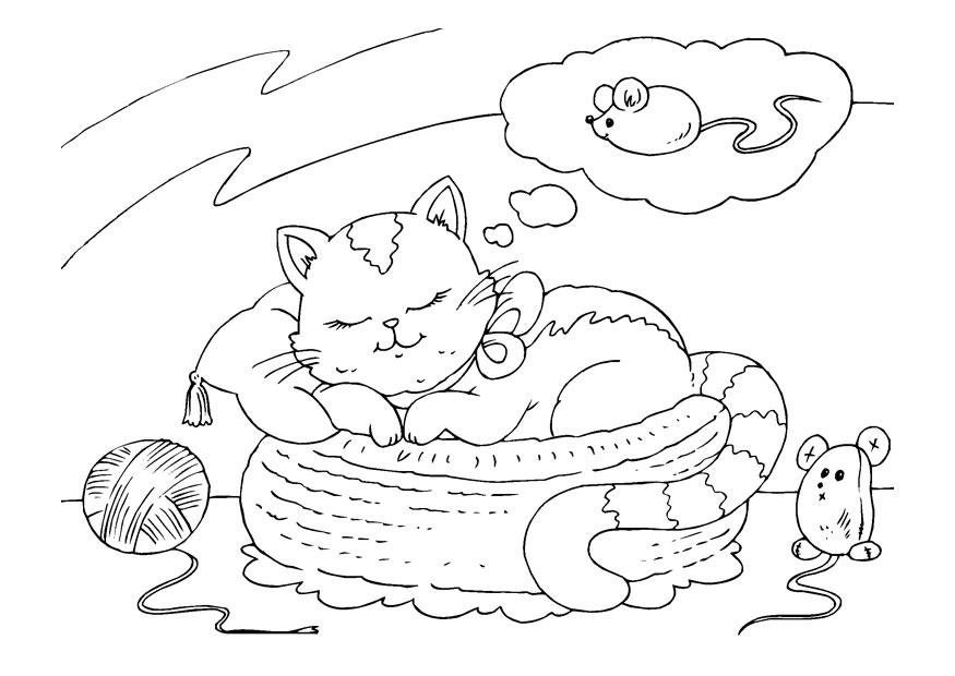 trÃ¤umende Katze