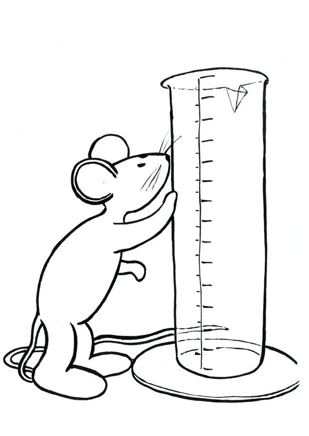 transi, die maus Malvorlage transi, die maus