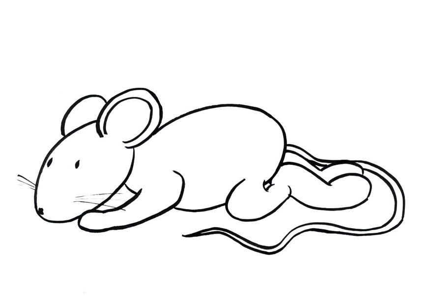 transi, die maus Malvorlage transi, die maus