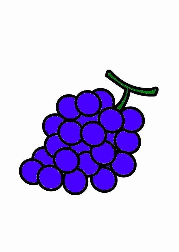 trauben Bild trauben