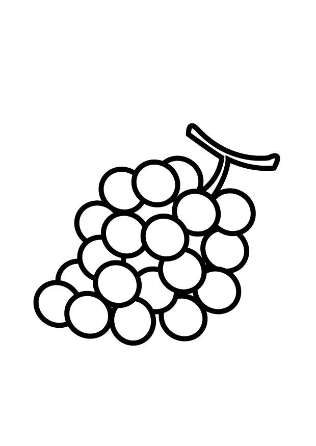 trauben Malvorlage trauben