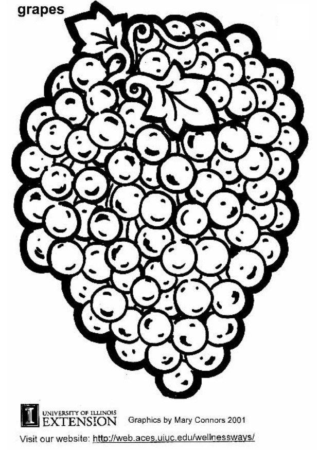 trauben Malvorlage trauben