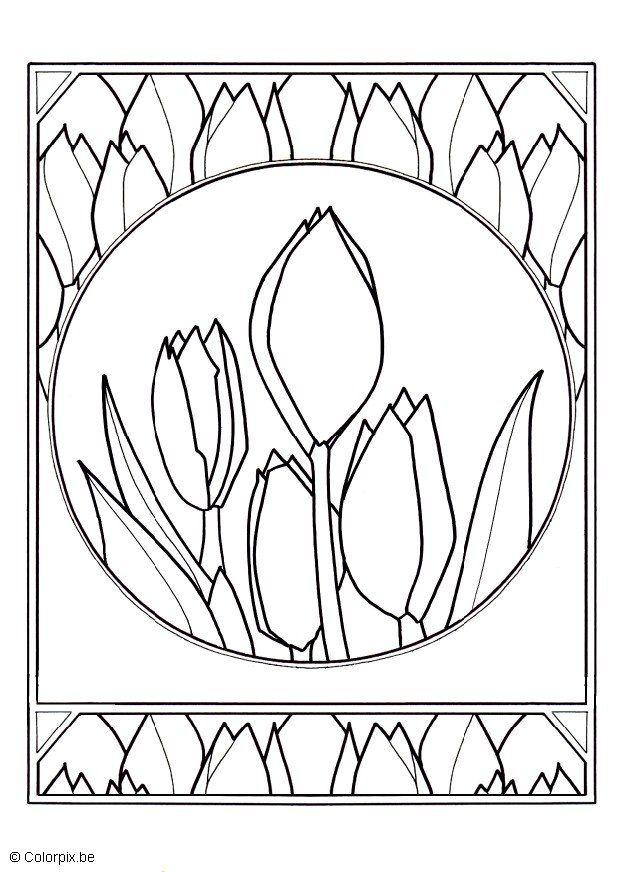 Malvorlage tulpen