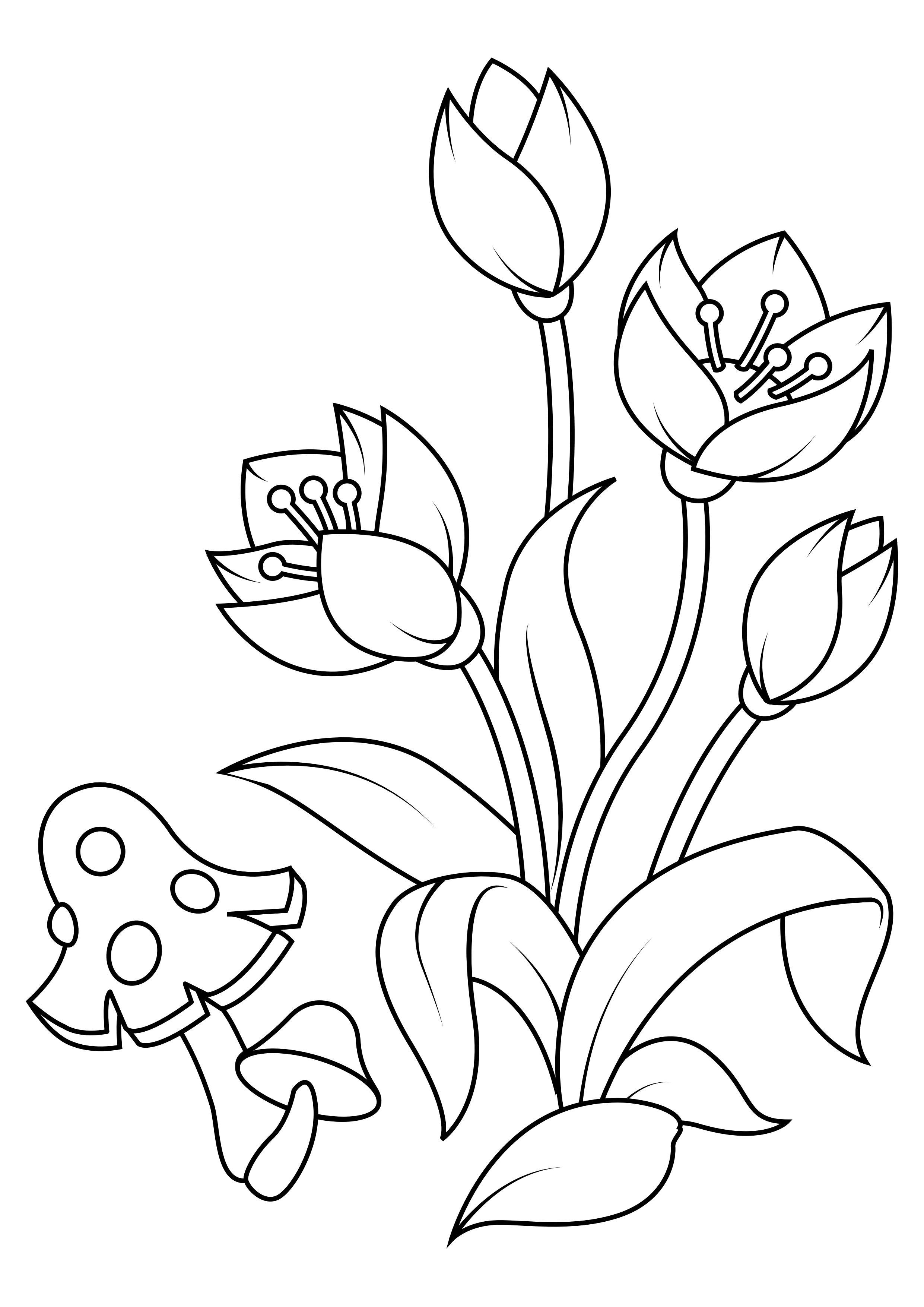 tulpen mit pilz Malvorlage tulpen mit pilz