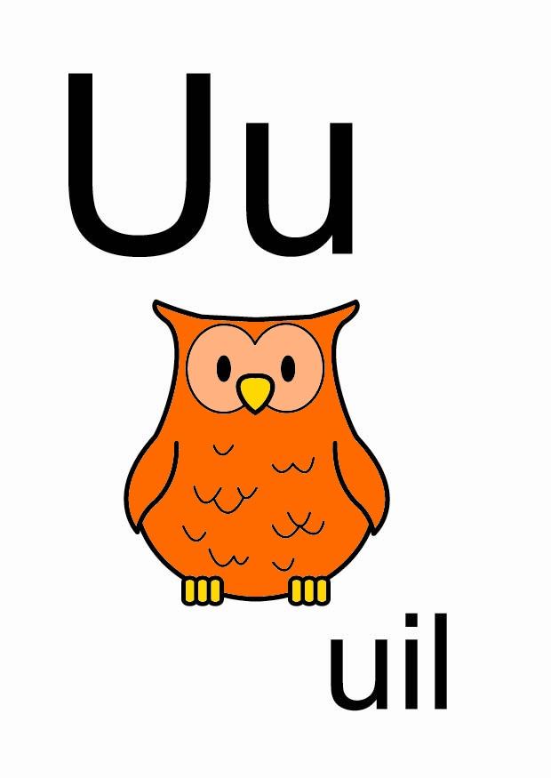 u Bild u