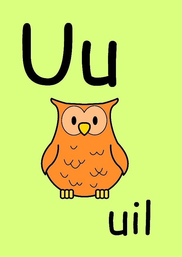 u Bild u