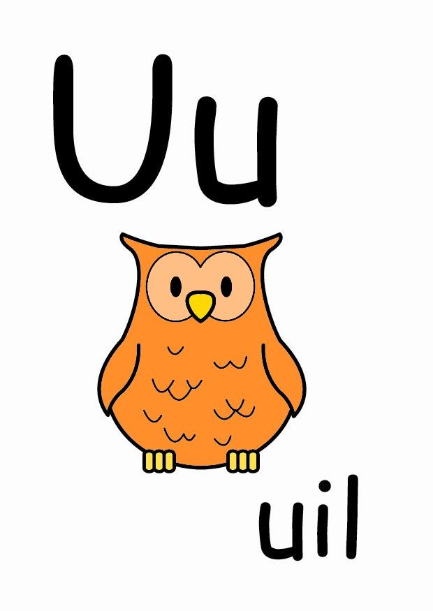 u Bild u