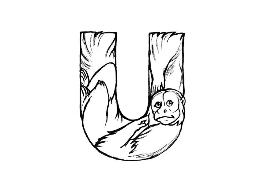 u-uakari Malvorlage u-uakari
