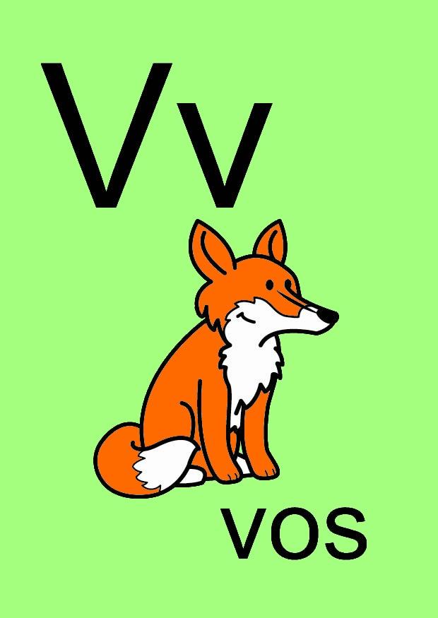 v Bild v
