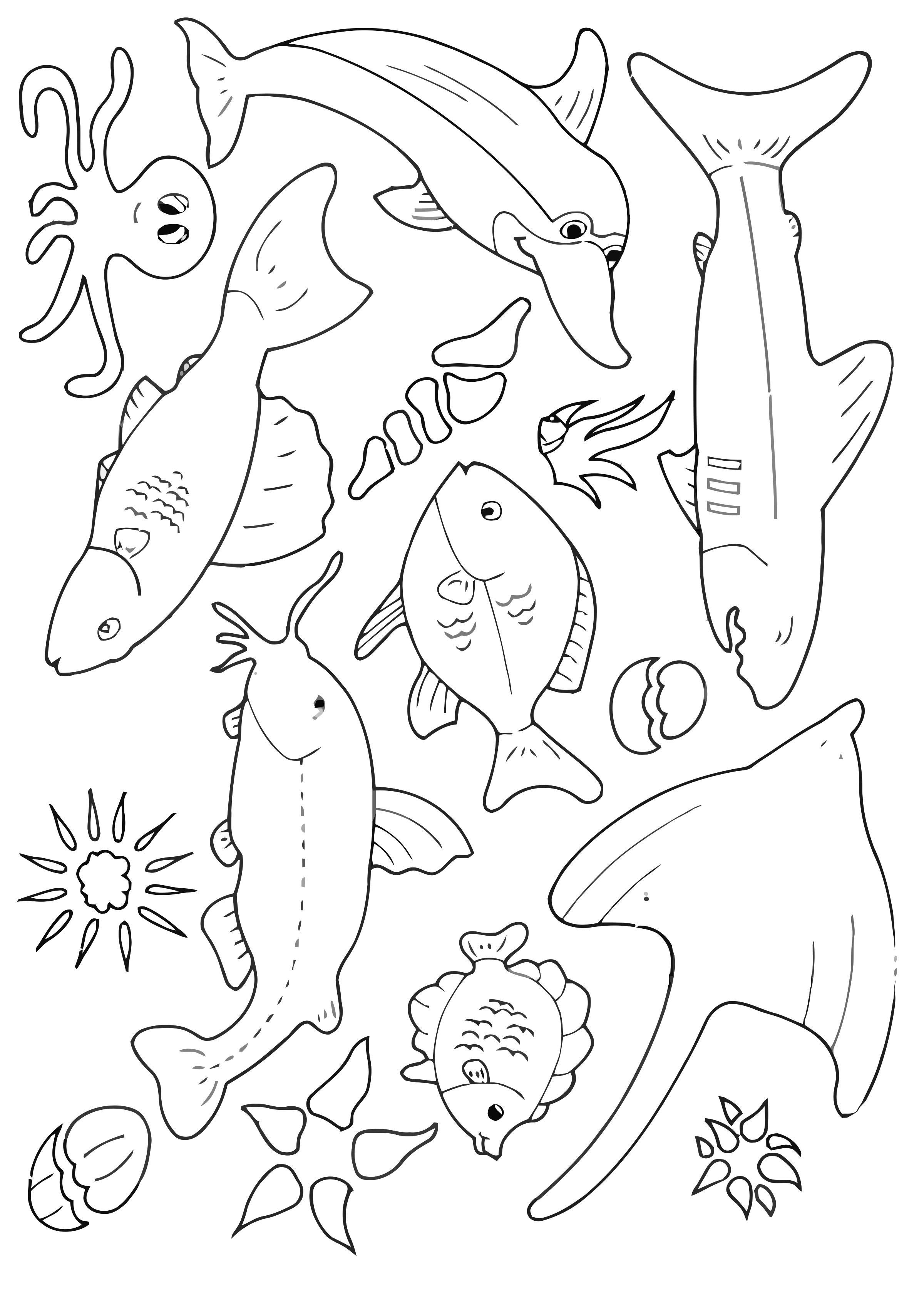 viele fische im meer Malvorlage viele fische im meer
