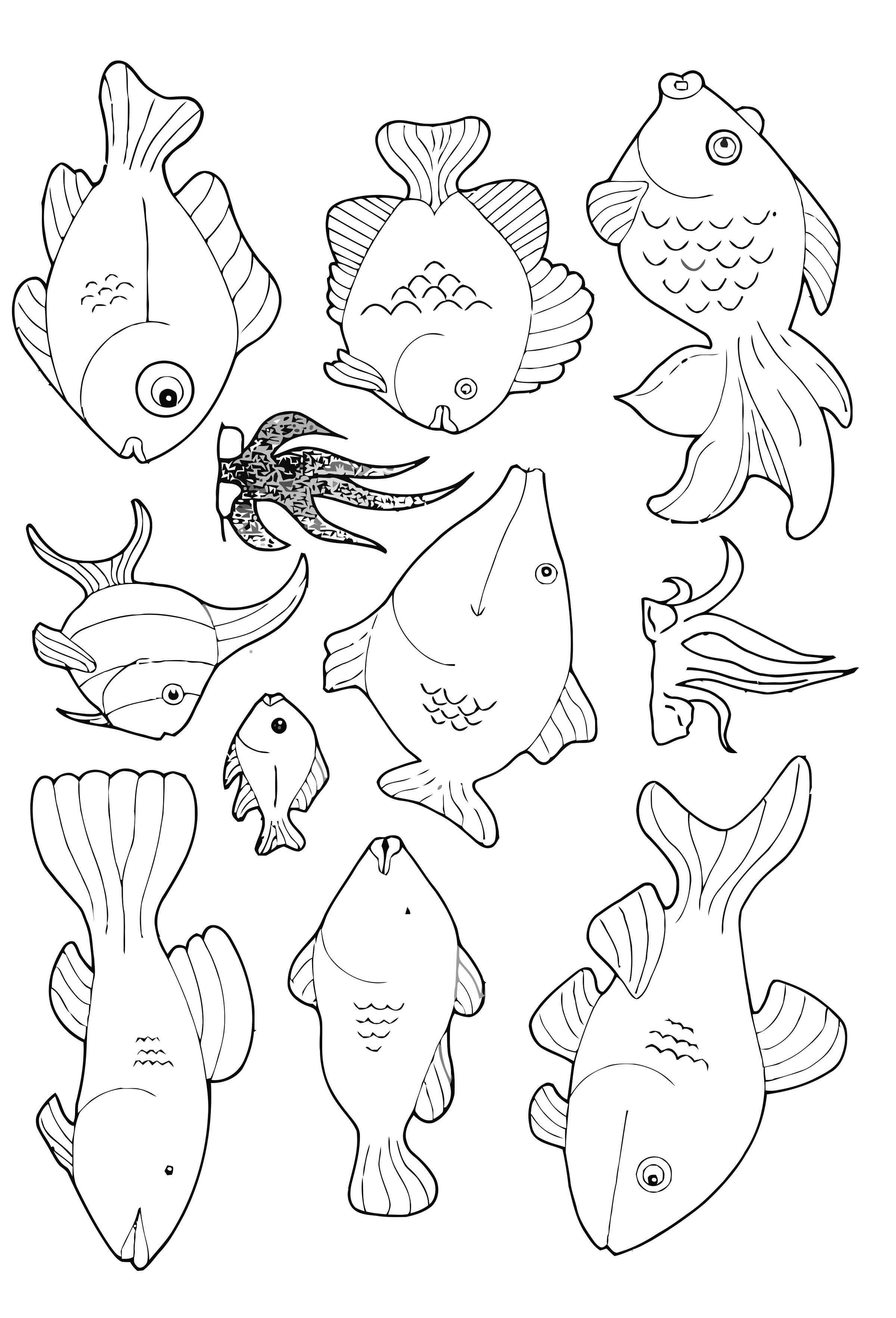 viele fische schwimmen herum Malvorlage viele fische schwimmen herum