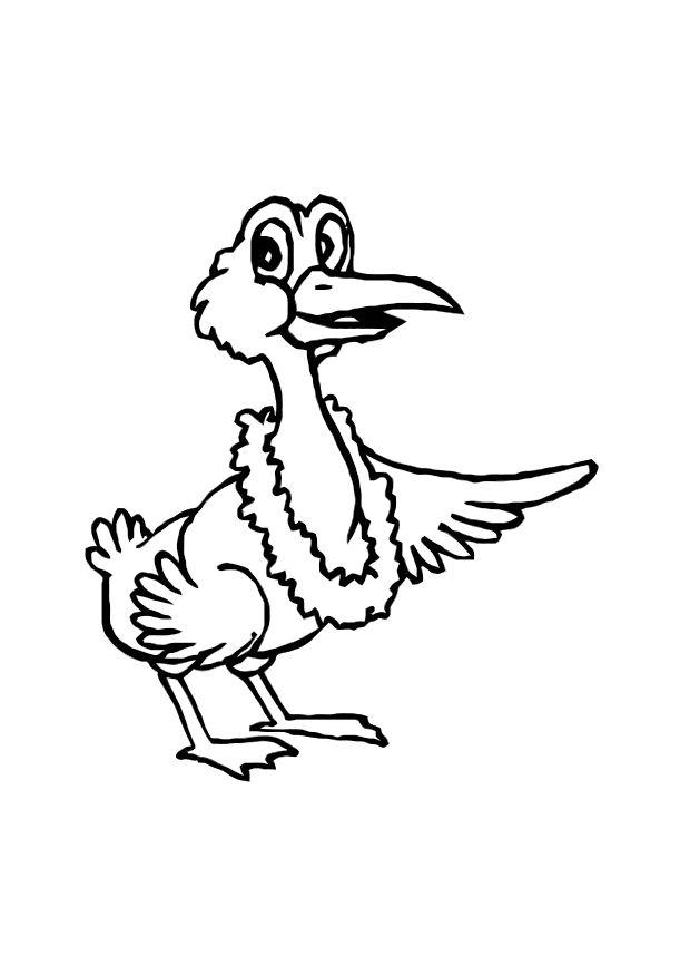 vogel Malvorlage vogel