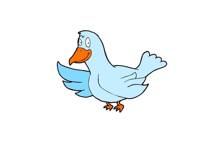 vogel Bild vogel