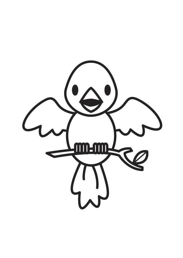 Malvorlage vogel