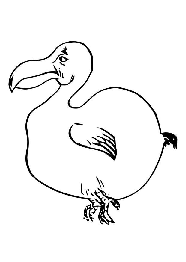 Malvorlage vogel - dudu