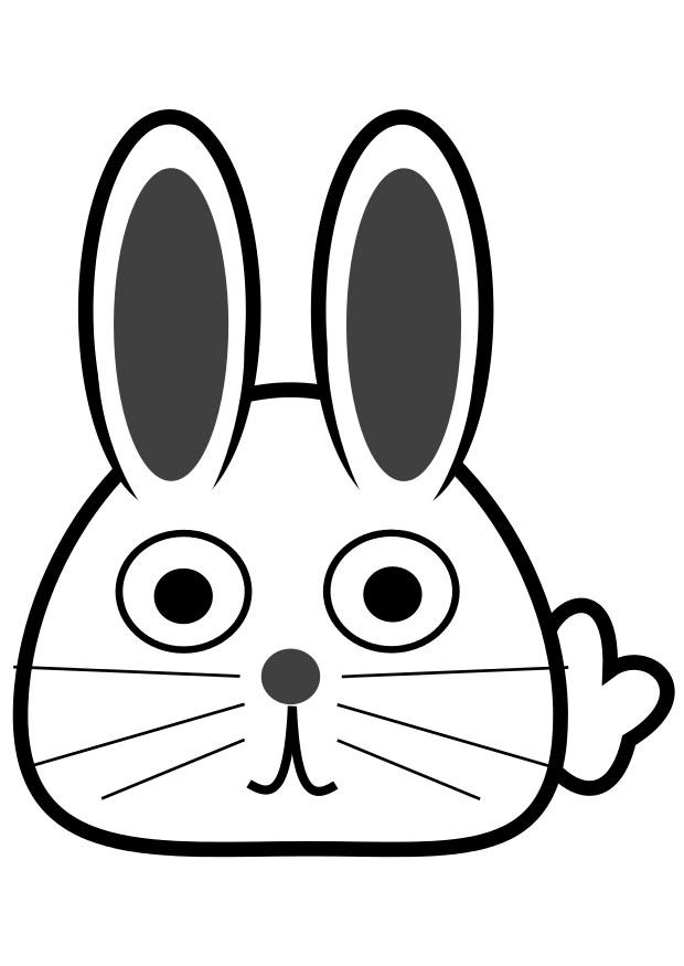 vorderansicht hase Malvorlage vorderansicht hase