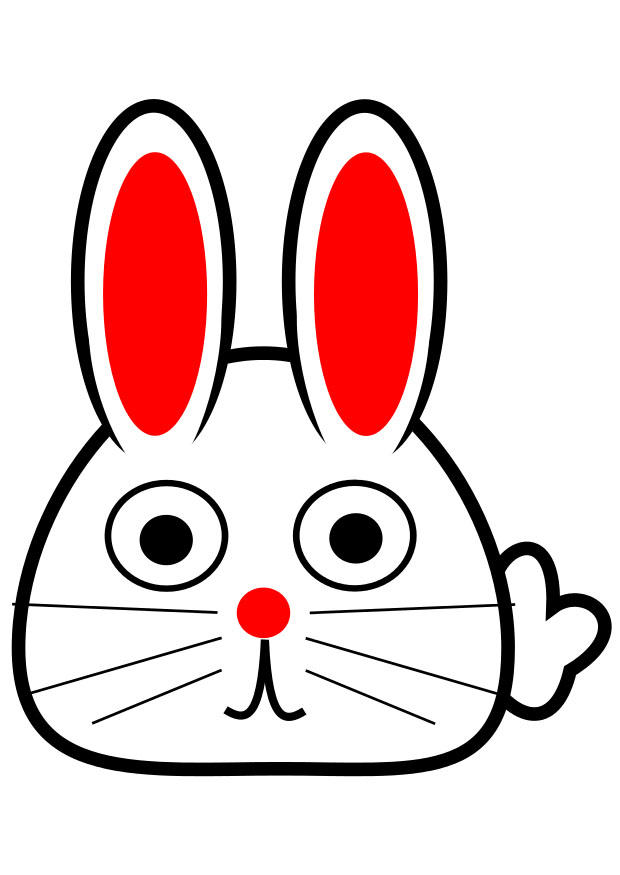 vorderansicht hase Bild vorderansicht hase