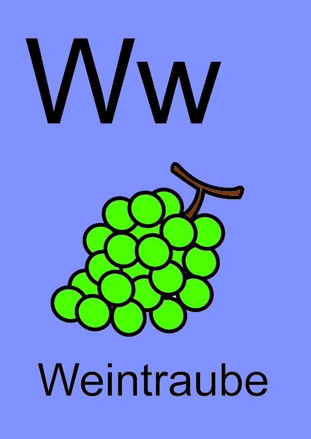 w Bild w